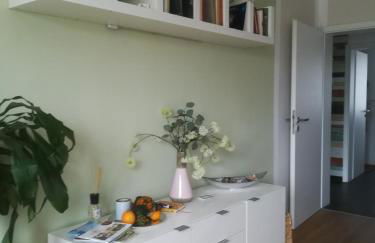 Appartment Fasanenhof Klinikum und Uni nah mit Netflix - Foto 7