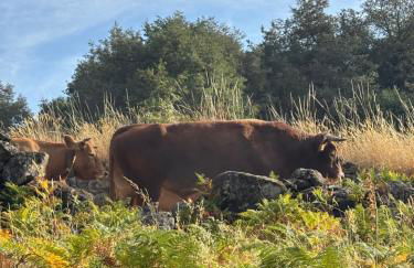 Casa do Beija - Foto 52