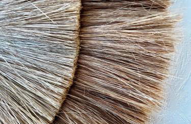 Le Solférino, Rennes centre gare - Foto 10