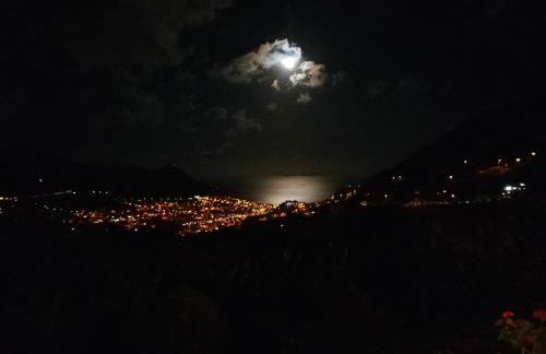 CASA Bela Vista - Foto 27