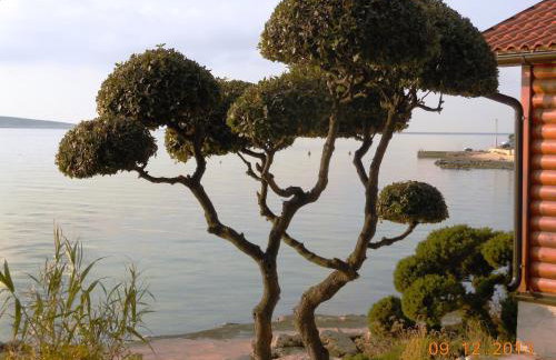 Apartments Dvorski - Photo 59