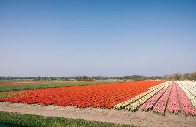 Villa Near Noordwijk Beach - Photo 40