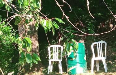 Maison à l'ancienne avec grand terrain , animaux bienvenus - Foto 80