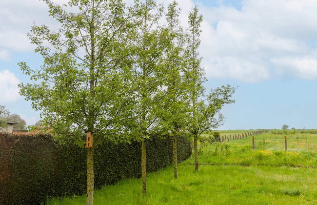 Guesthouse in the Heart of the Flemish Ardennes - Foto 4