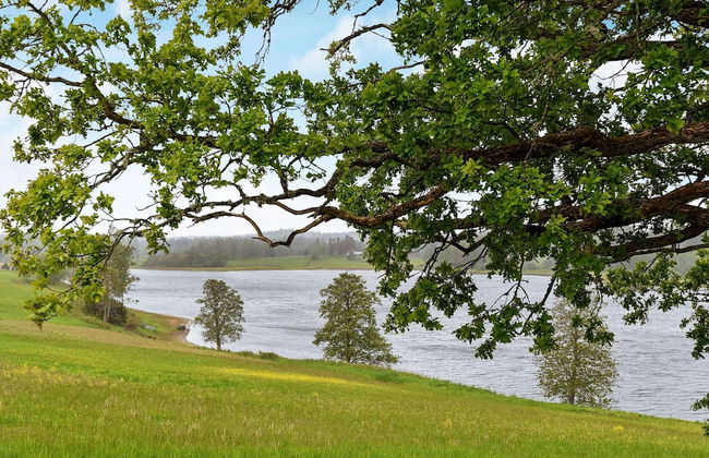 4 Person Holiday Home in Frandefors - Foto 4