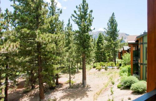 Solstice 21 - Foto 54