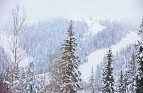 Lost Trail 101 - Foto 52