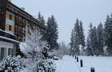 Maison Poluc - Cadeau des Alpes - Foto 7