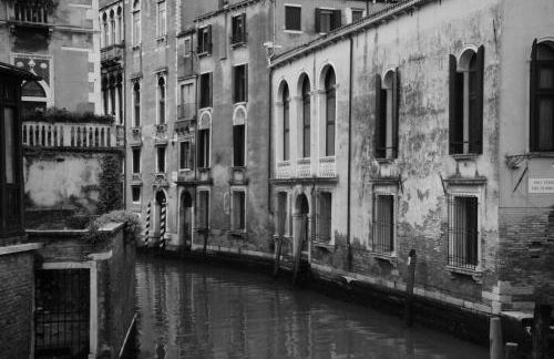 The judas trees - Foto 38