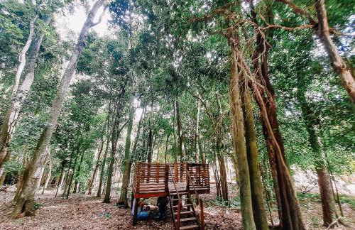 Recanto das Videiras - Casa em Vinícola - Foto 107