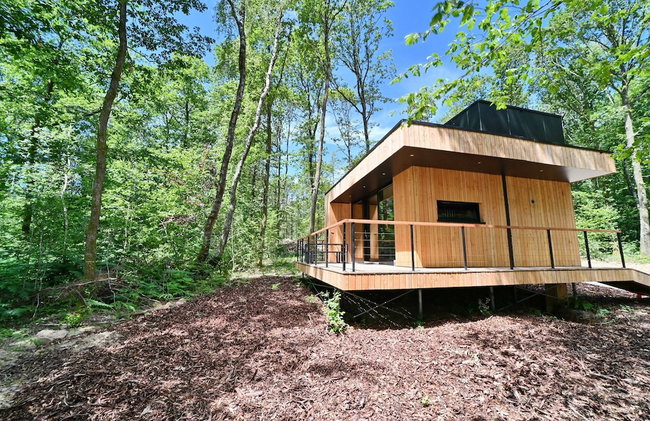 Lodge in Oignies Forest With Eco Design - Foto 28