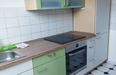 Aussergewöhnliche Atelierferienwohnung mit Balkon an der Donau - Foto 18