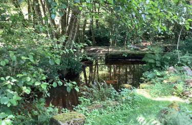 Lake View Cabin - Foto 13