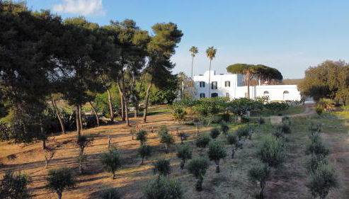 Masseria Filippo de Raho - Agri Bio Relais - Foto 5, Garden