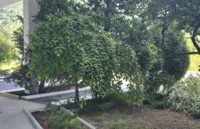Apartman Mr Guest Krapina - SELF CHECK IN - Foto 27
