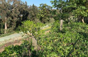 La collinetta sul mare - Foto 61