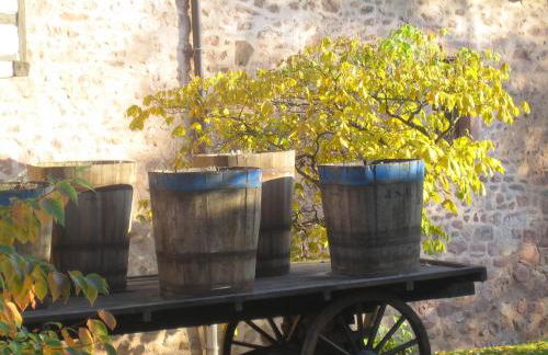 LES HORTENSIAS - Foto 6