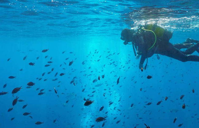 Bautismo de buceo en el Parque Natural del Montgrí - Foto 1