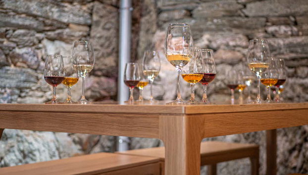 Douro Region Full-Day Trip - Foto 5