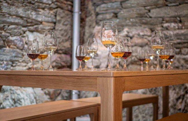 Douro Region Full-Day Trip - Foto 5