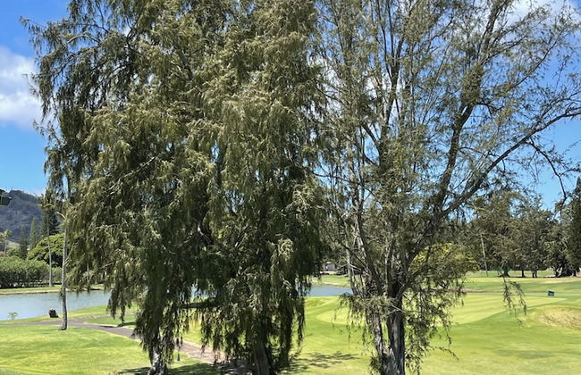 Turtle Bay Sage ta-097-866-3424-02 1 Bedroom Condo by RedAwning - Foto 21