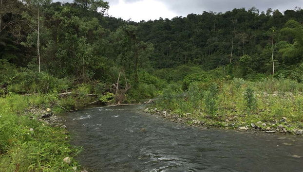 Scenery during the tour
