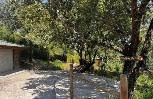 The Bungalow - Quinta da BellaVista - Foto 58