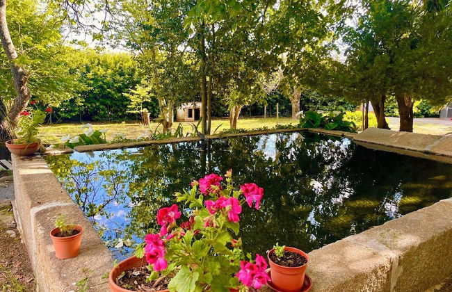 Quinta da Cumieira - Foto 18