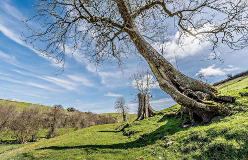 3 Bed in Barnstaple oc-82159 - Foto 33