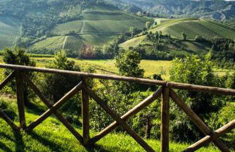 Locanda Gli Ulivi - Photo 25