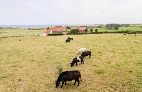 Links View - Foto 16