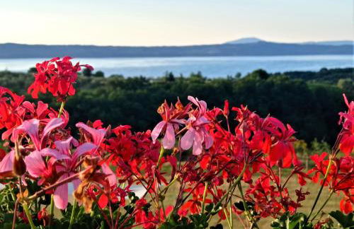Agriturismo PIAN DEL GRANO Azienda agricola - Foto 41