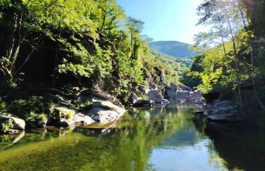 Clède lovée dans la forêt, sauna & bain nordique - Foto 33