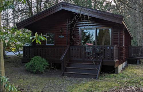 Pineshadow Lodge-Dog Friendly Kenwick Park Louth - Foto 27