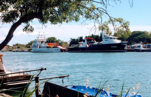 Le P’tit Littoral - Foto 17