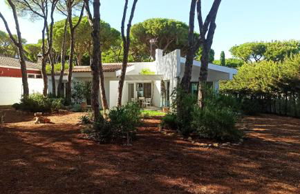 Diseño y luz entre los pinos - Foto 50