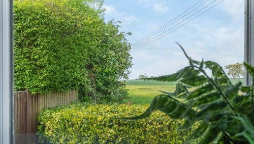 The Old Dairy - Photo 5