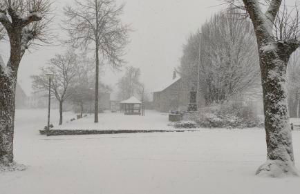 Marktstube - Foto 27