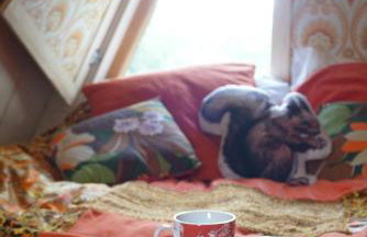 Aframe Tiny Home SILVA with private hot tub - Foto 19