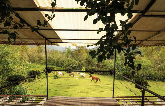 Rancho con Caballos El Reencuentro - Foto 23