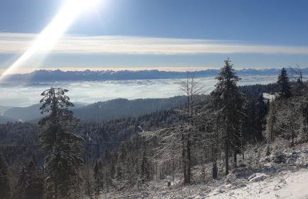 Bukowina Tatrzańska -Czarna Góra- Black Apart- widok na Tatry, jacuzzi, bilard, game room - Foto 61