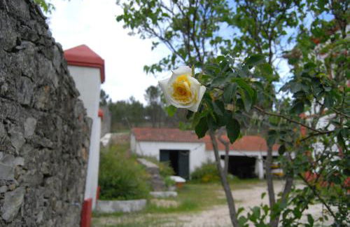 Prédio na Amêndoa - Foto 31