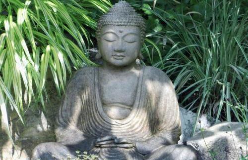 Ferienwohnung Amselnest - Foto 11