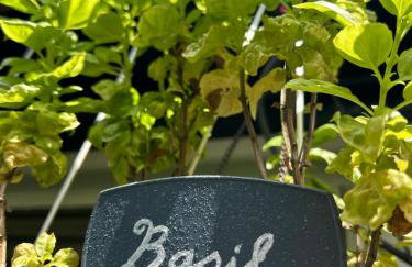 Artistic Retreat, King Suite with Private Balcony! - Foto 72