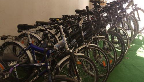 Eifelferienkurth - Photo 4