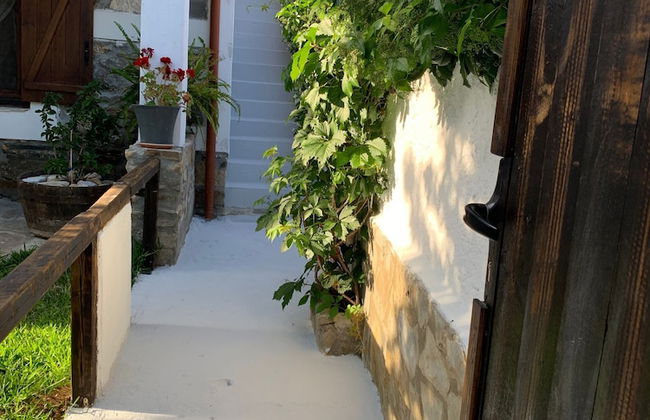 Beautiful Petrino 1880 - Photo 39