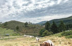 Apartamentos Turísticos Real Valle Ezcaray - Foto 116