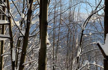 Apartament Kurort Kozubnik - Taras nad Potokiem - Foto 13