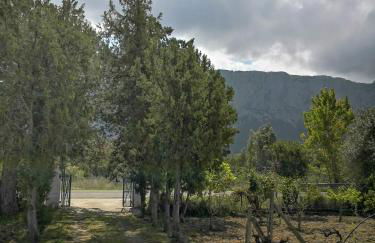 Villa Walter - Foto 25