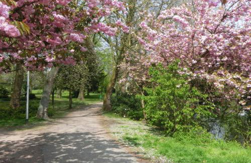 Ferienwohnung Zentrum Buxtehude - Photo 20
